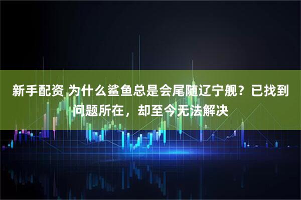 新手配资 为什么鲨鱼总是会尾随辽宁舰？已找到问题所在，却至今无法解决